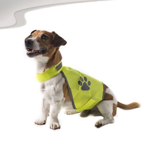 safety vest for dogs
