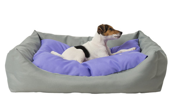 dog bed DOMINO