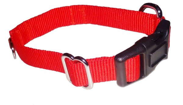 dog collar adjustable