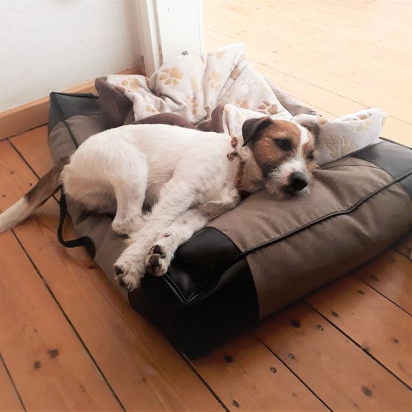 dog cushion DOG LOUNGER DELUXE rectangular