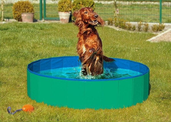 Doggy Pool - Hundepool