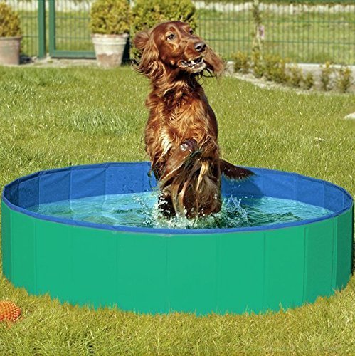 Doggy Pool - Hundepool