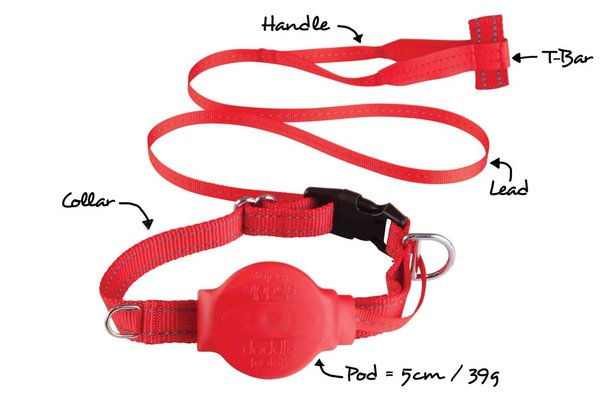 DODDLE FOR DOGS Halsband mit integrierter Leine bis 27 kg