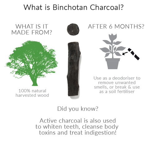 Binchotan Charcoal for EAU GOOD bottle