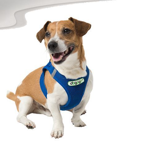 soft harness for dogs blue