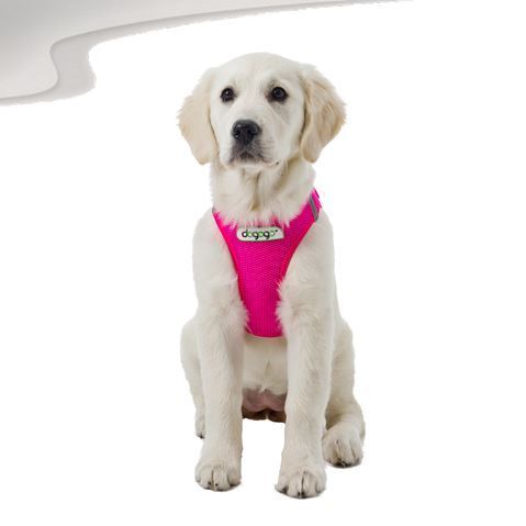 soft harness for dogs pink