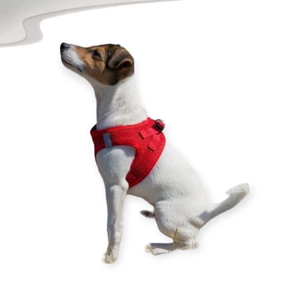 soft harness for dogs red