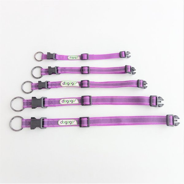 verstellbares Hundehalsband violett reflex