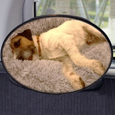 car mirror for back seat and kennel