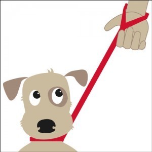 DODDLE FOR DOGS Halsband sw mit integrierter Leine bis 27 kg