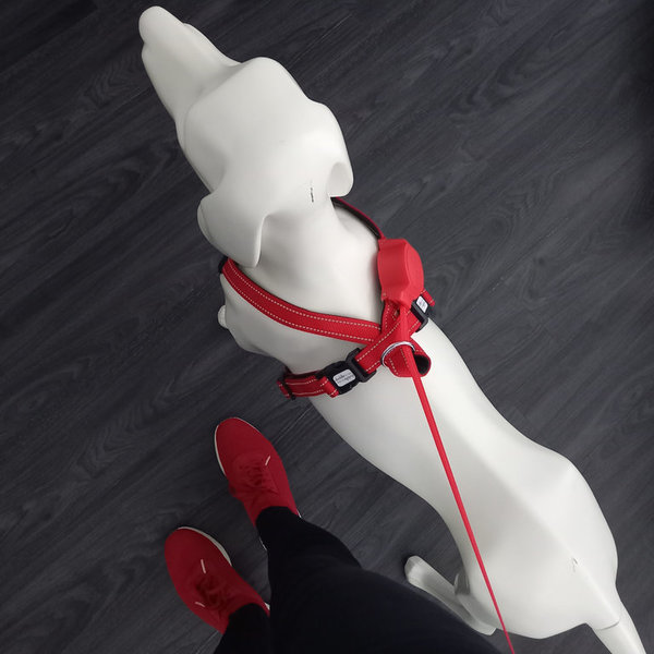 DODDLE FOR DOGS Hundegeschirr mit integrierter Leine bis 40 kg