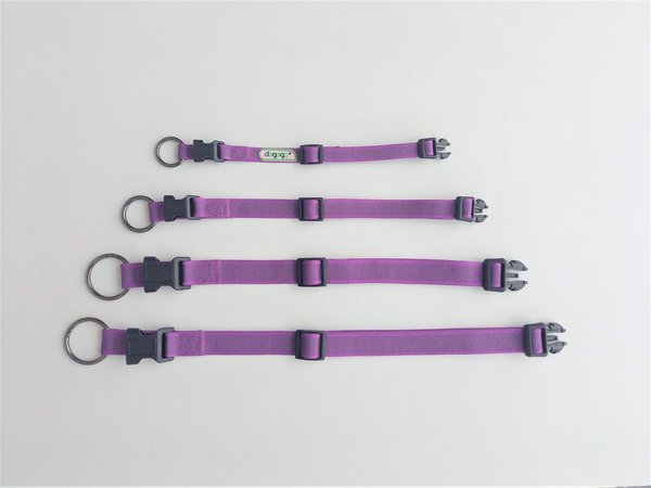 adjustable dog collar purple