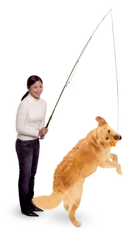 Dog Dangler Trainingsangel